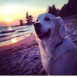 Meet your Posher, Cathy